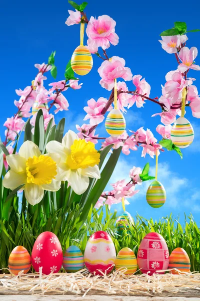 Tojás húsvéti sorban a szalmát a peach blossom és nárcisz — Stock Fotó