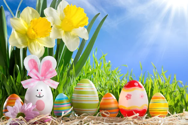 Velikonoční vejce v řadě na slámě s Narcis — Stock fotografie