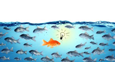 akıntıya karşı - kavram - lider goldfish karşısında