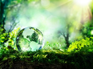 crystal globe on moss in a forest - environment concept clipart