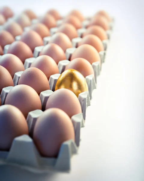 Huevo de oro en caja - concepto de valor en el negocio —  Fotos de Stock