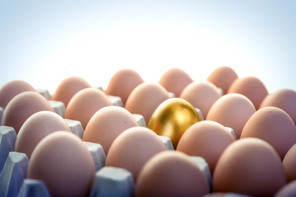 Golden egg among hen eggs in package — Stock Photo, Image