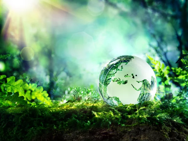 Globe on moss in a forest - Europe - environment concept — Stock Photo, Image