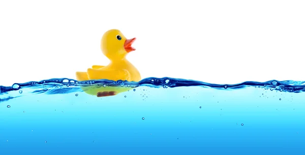 Pato de goma flotar en el agua —  Fotos de Stock