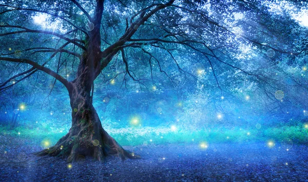 Fairy träd i Mystic Forest — Stockfoto