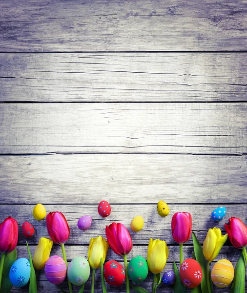 Tulipán és húsvéti tojás évjárat fa — Stock Fotó