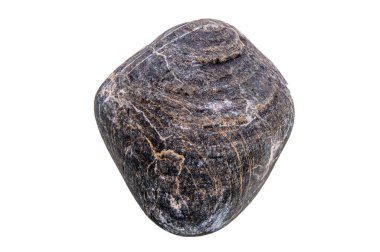 Nadir bulunan kabartma dokuya ve katmanlı yapıya sahip izole siyah taşlar, gölgeler olmadan yayılmış doğal ışıkla fotoğraflanmış..