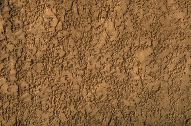 Rough plaster on the wall, covered with paint, photographed in the summer in low sunlight horizontally.