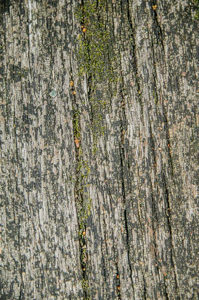 Die Struktur Des Alten Schnittholzes Mit Spuren Der Auswirkungen Natürlicher — Stockfoto