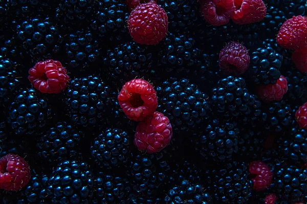 Las Bayas Negras Intercaladas Con Frambuesas Rojas Fresas Son Buen — Foto de Stock