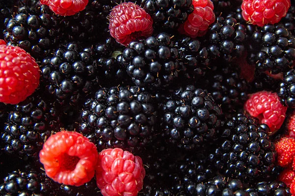 Schwarze Beeren Durchsetzt Mit Roten Himbeeren Und Erdbeeren Sind Ein — Stockfoto