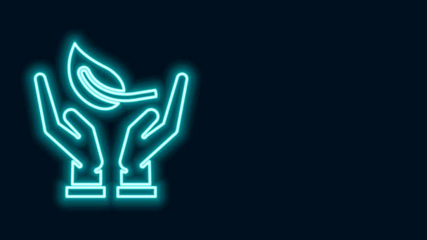 Ragyogó neon vonal Sprout kezében környezetvédelmi ikon elszigetelt fekete alapon. Vetés és palánta. Sűrűt ültetek. Ökológia. 4K Videó mozgás grafikus animáció — Stock videók