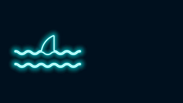 Bersinar neon sirip hiu di ikon gelombang laut terisolasi pada latar belakang hitam. Animasi grafis gerak Video 4K — Stok Video