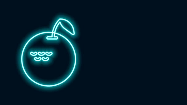 Glödande neon linje Apple-ikonen isolerad på svart bakgrund. Frukt med bladsymbol. 4K Video motion grafisk animation — Stockvideo