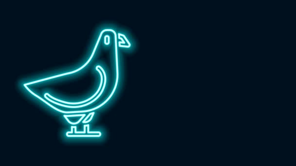 Ragyogó neon vonal Dove ikon elszigetelt fekete alapon. 4K Videó mozgás grafikus animáció — Stock videók