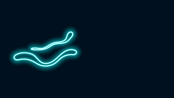 Icono de la enfermedad del virus del Ébola de línea de neón brillante aislado sobre fondo negro. Animación gráfica de vídeo 4K — Vídeos de Stock