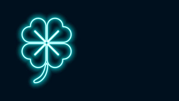 Zářící neonová čára Ikona čtyřlístkového jetele izolovaná na černém pozadí. Šťastný den svatého Patrika. Grafická animace pohybu videa 4K