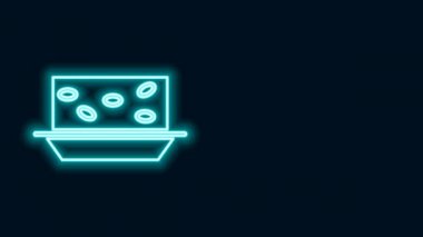 Siyah arka planda fındık ikonlu parlak neon hattı. 4K Video hareketli grafik canlandırması