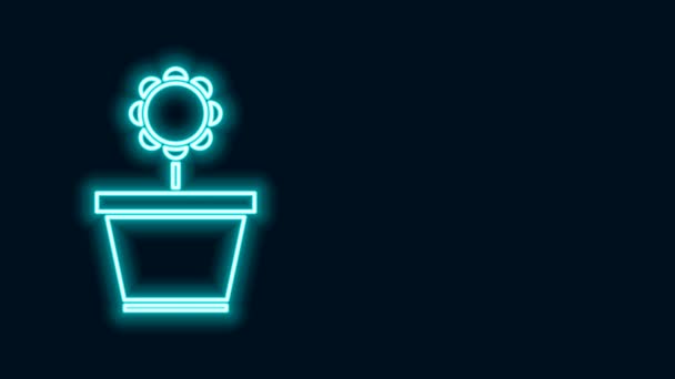 Zářící neonová čára Květ v hrnci ikony izolované na černém pozadí. Rostlina roste v květináči. Znak květináče. Grafická animace pohybu videa 4K — Stock video