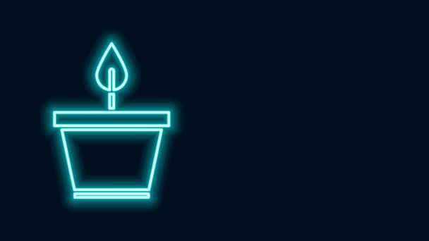 Ligne lumineuse néon Plante en pot icône isolée sur fond noir. Plante poussant en pot. Panneau végétal en pot. Animation graphique de mouvement vidéo 4K — Video