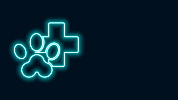 Linha de néon brilhante ícone de símbolo de clínica veterinária isolado no fundo preto. Assinatura do hospital. Pata estilizada imprimir cão ou gato. Sinal de primeiros socorros. Animação gráfica em movimento de vídeo 4K — Vídeo de Stock