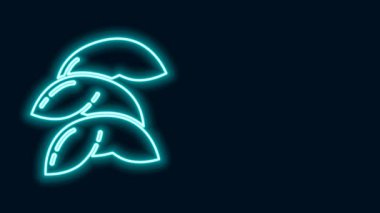 Parlayan neon hattı Çin fal kurabiyesi ikonu siyah arka planda izole edildi. Geleneksel Asya. 4K Video hareketli grafik canlandırması