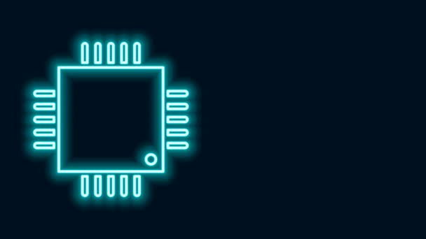 Ligne lumineuse néon Processeur informatique avec icône de processeur de microcircuits isolé sur fond noir. Chip ou cpu avec panneau de circuit imprimé. Micro processeur. Animation graphique de mouvement vidéo 4K — Video