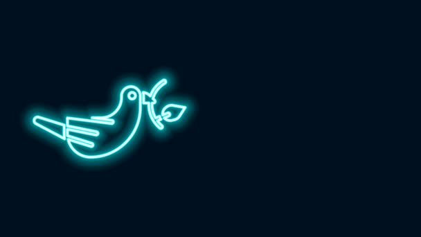Linha de néon brilhante Pomba da paz com ícone de ramo de oliveira isolado no fundo preto. Feliz Páscoa. Animação gráfica em movimento de vídeo 4K — Vídeo de Stock