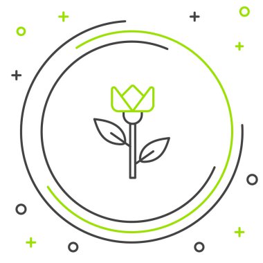 Beyaz arkaplanda çizgi çiçeği lale simgesi izole edildi. Renkli taslak konsepti. Vektör.