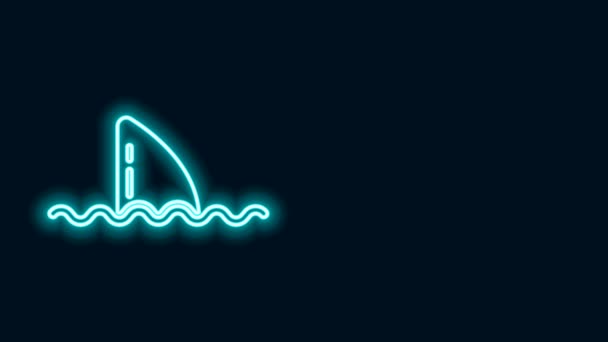 Светящаяся неоновая линия Плавник акулы в иконке океанской волны изолирован на черном фоне. Видеографическая анимация 4K — стоковое видео