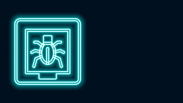 Žhnoucí neonová čára Hmyz v ikoně rámu izolované na černém pozadí. Herbář. Grafická animace pohybu videa 4K — Stock video