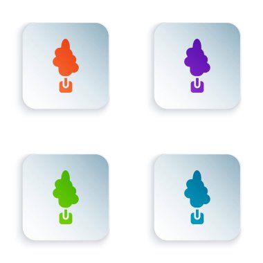 Beyaz arkaplanda izole edilmiş renk ağacı simgesi. Orman sembolü. Kare düğmelere renkli simgeleri yerleştir. Vektör.