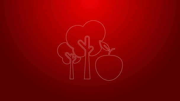Zelená čára Strom s ikonou jablka izolované na červeném pozadí. Zemědělská rostlina. Ekologický zemědělský produkt. Zahradní téma. Grafická animace pohybu videa 4K — Stock video