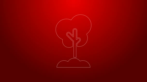 Green line Tree in the ground icon isolated on red background. Forest symbol. 4K Video motion graphic animation — Stock Video