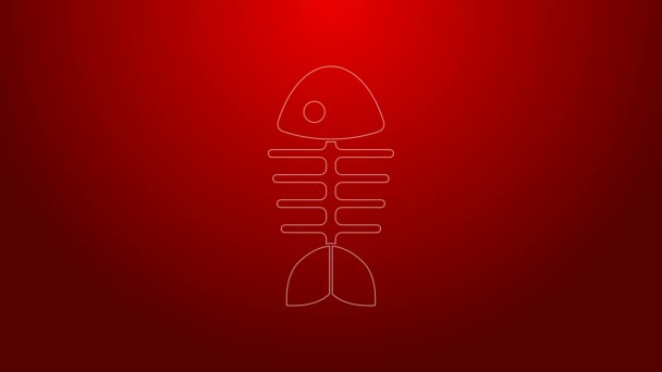 Green line Fish skeleton icon isolated on red background. Fish bone sign. 4K Video motion graphic animation — Stock Video