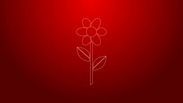 Zielona linia Ikona kwiatowa izolowana na czerwonym tle. 4K Animacja graficzna ruchu wideo — Wideo stockowe