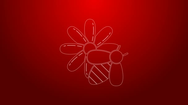 Zelená čára Včela a ikona květiny izolované na červeném pozadí. Sladké přírodní jídlo. Včela nebo apis se symbolem křídel. Létající hmyz. Grafická animace pohybu videa 4K — Stock video