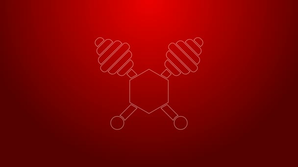 Zielona linia Miód dipper stick ikona izolowana na czerwonym tle. Kapusta miodowa. 4K Animacja graficzna ruchu wideo — Wideo stockowe