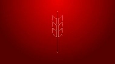 Pirinç, buğday, mısır, yulaf, çavdar ve kırmızı arka planda izole edilmiş arpa ikonu içeren yeşil çizgi tahılları. Buğday ekmeği sembolleri. 4K Video hareketli grafik canlandırması