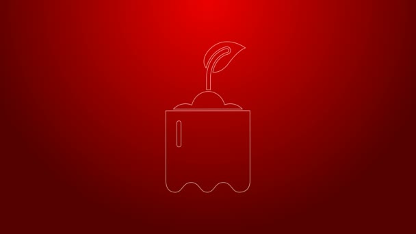 Green line Sprout in bottle icon isolated on red background. Seed and seedling. Leaves sign. Leaf nature. 4K Video motion graphic animation — Stock Video