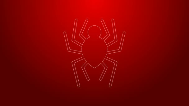 Green line Spider icon isolated on red background. Happy Halloween party. 4K Video motion graphic animation — Stock Video