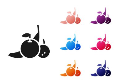 Siyah meyve simgesi beyaz arkaplanda izole edildi. Simgeleri renklendirin. Vektör.