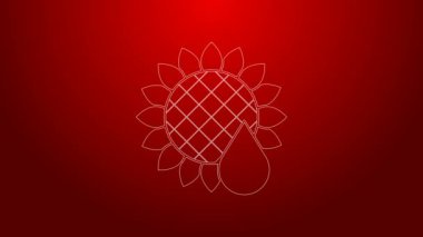 Yeşil çizgi Ayçiçeği simgesi kırmızı arkaplanda izole edildi. 4K Video hareketli grafik canlandırması