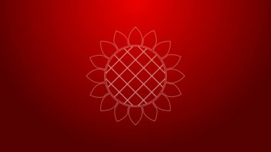 Yeşil çizgi Ayçiçeği simgesi kırmızı arkaplanda izole edildi. 4K Video hareketli grafik canlandırması