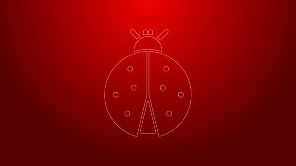 Green line Ladybug icon isolated on red background. 4K Video motion graphic animation — Stock Video