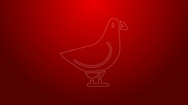 Yeşil çizgi güvercin simgesi kırmızı arkaplanda izole edildi. 4K Video hareketli grafik canlandırması