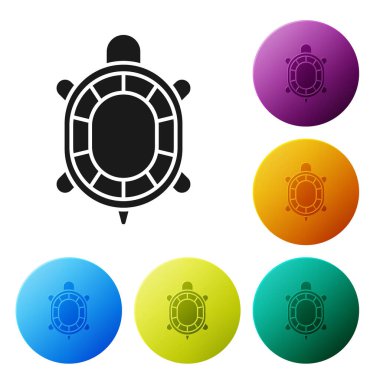 Siyah kaplumbağa simgesi beyaz arkaplanda izole edilmiş. Simgeleri renk daire düğmelerine ayarla. Vektör.