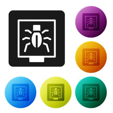 Beyaz arkaplanda izole edilmiş bir çerçeve simgesindeki siyah böcekler. Herbaryum. Simgeleri renk daire düğmelerine ayarla. Vektör.