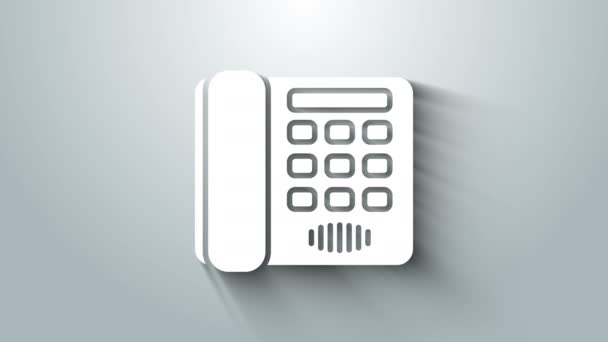 Fehér Telefon ikon elszigetelt szürke háttérrel. Vezetékes telefon. 4K Videó mozgás grafikus animáció — Stock videók