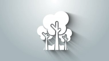 Beyaz Ağaçlar simgesi gri arkaplanda izole edildi. Orman sembolü. 4K Video hareketli grafik canlandırması